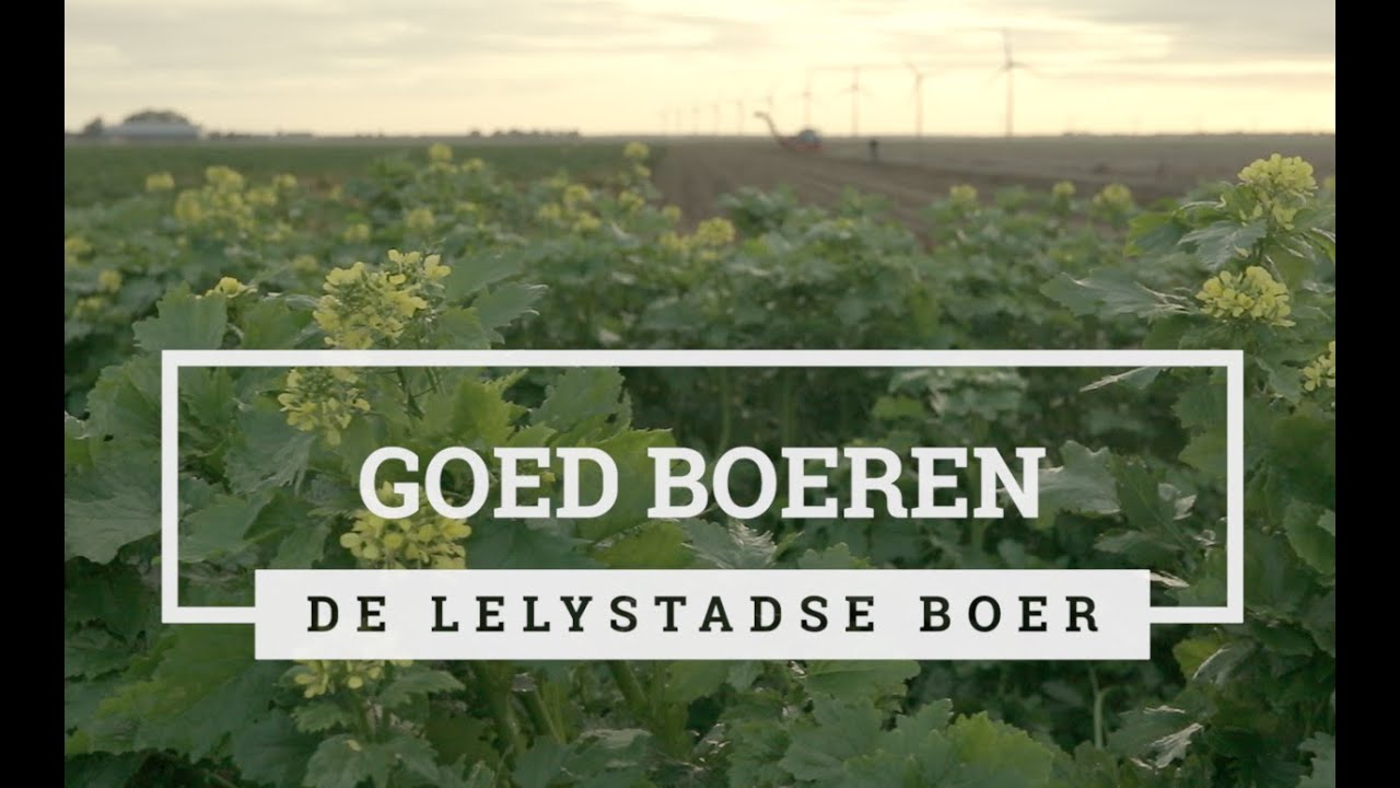 De Lelystadse Boer