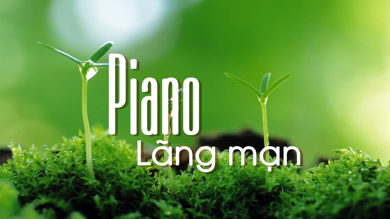 Chọn Lọc 30 Bản H&ograve;a Tấu Piano Hay Nhất Thế Giới - Nhẹ Nh&agrave;ng, S&acirc;u Lắng, B&igrave;nh Y&ecirc;n Đến Lạ!