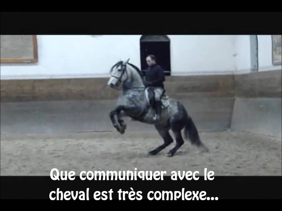 L'équitation, pas un sport?