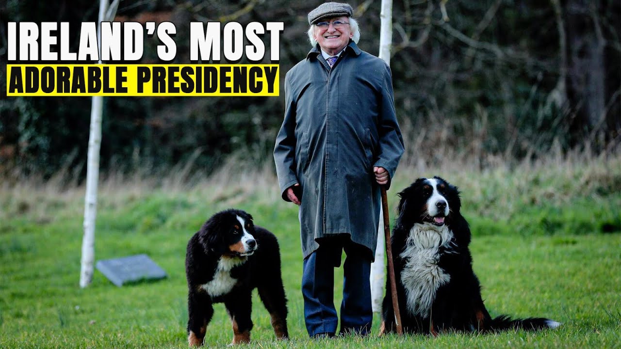 Dogs of the Irish President Michael D Higgins