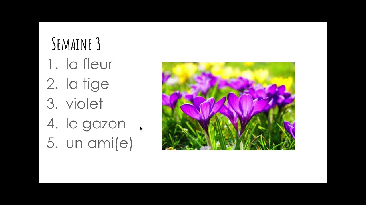 Mots de la semaine (Mars ) Semaine 3| French Words of the Week (March) Week 3| French Kinder TV