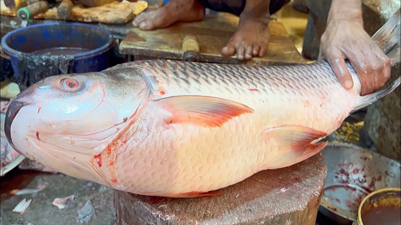 Amazing Giant Rohu Fish Cutting Skills Live In Fish Market | Fish Cutting Skills