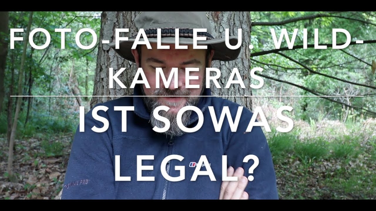 Fotofallen im Wald und der Datenschutz (Waldfragestunde)