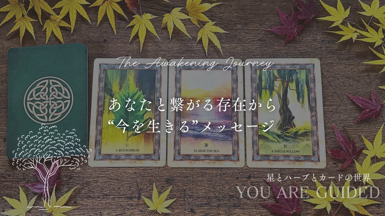 あなたと繋がる存在から“今を生きる”メッセージ✨スピリチュアルカードリーディング👼タロット＋オラクル