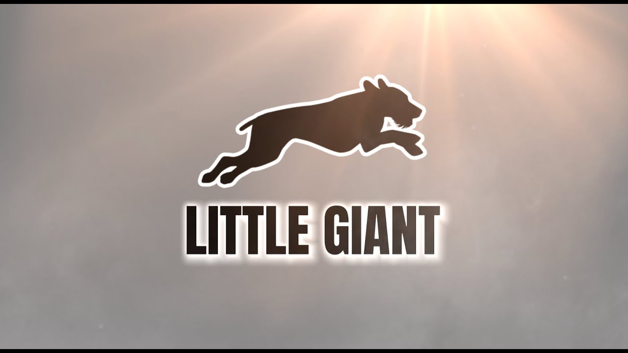 Little Giant - RunDownRiver