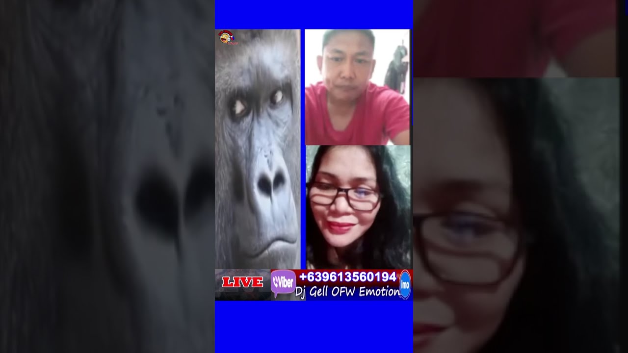 Magpapaputok silang dalawa sa NewYear. . .hahaha