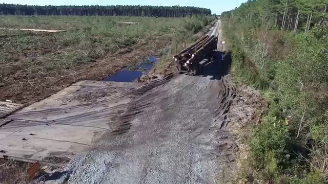 Pine Shovel Logging 2016 El Niño