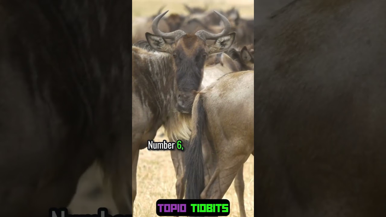 Structures of the world part 6 #architecturalwonders #ytshorts #structures #worldplaces