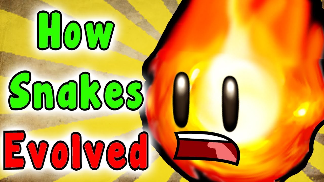 Evolution Of The FIRE SNAKE (1988-2017)