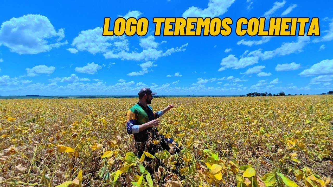 NOVO PRODUTO PARA DESSECAÇÃO 
