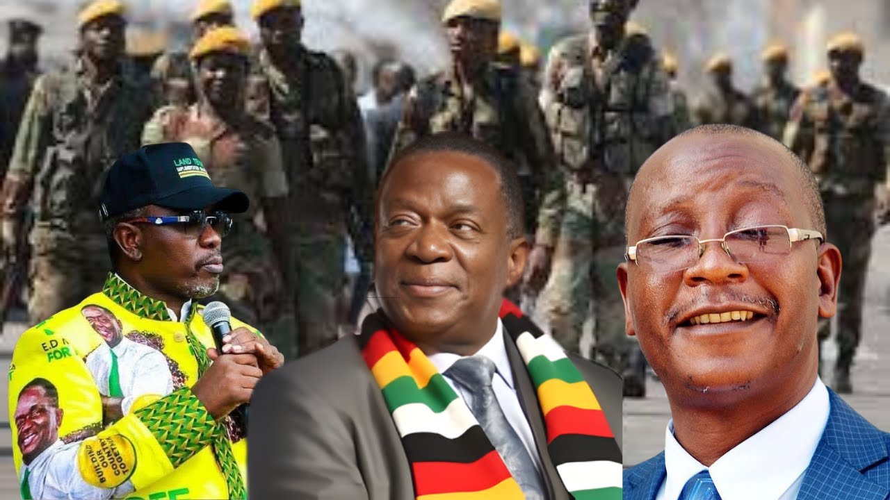 ZVIGANANDA TO AMEND CONSTITUTION BLOCKING ZIM CITIZENS FROM VOTING FOR PRESIDENT