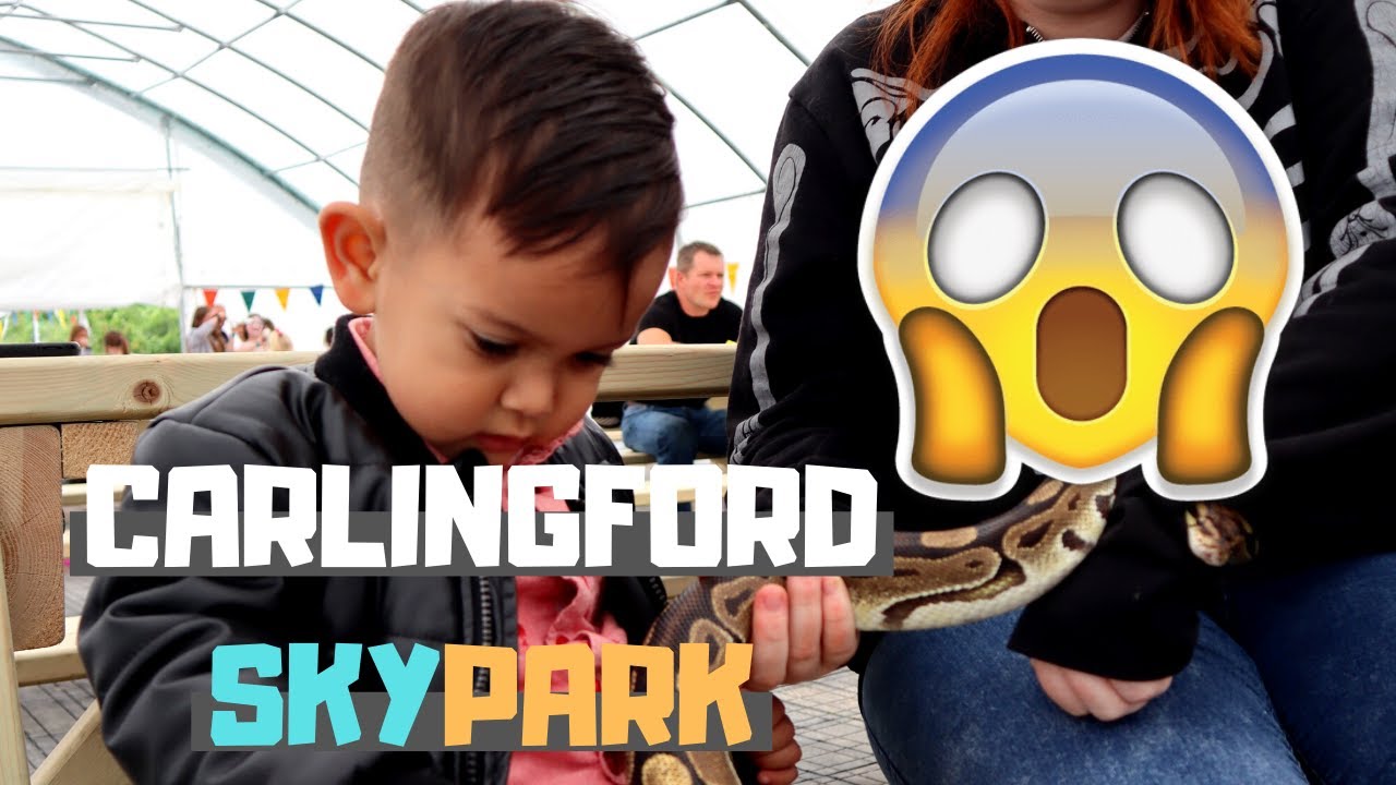 SKYPARK CARLINGFORD FAMILY DAY! - VLOG 1