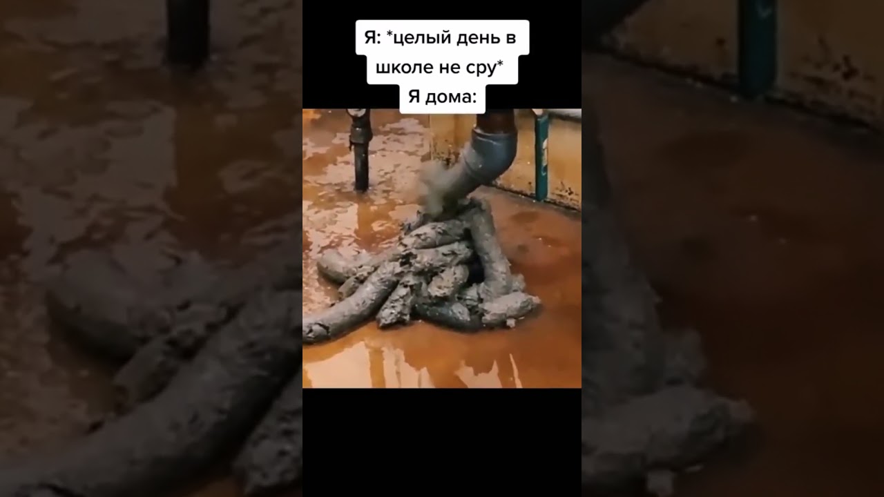 Я хочу какать!!! #мем #tiktok #tiktokvideo #рекомендации #рек