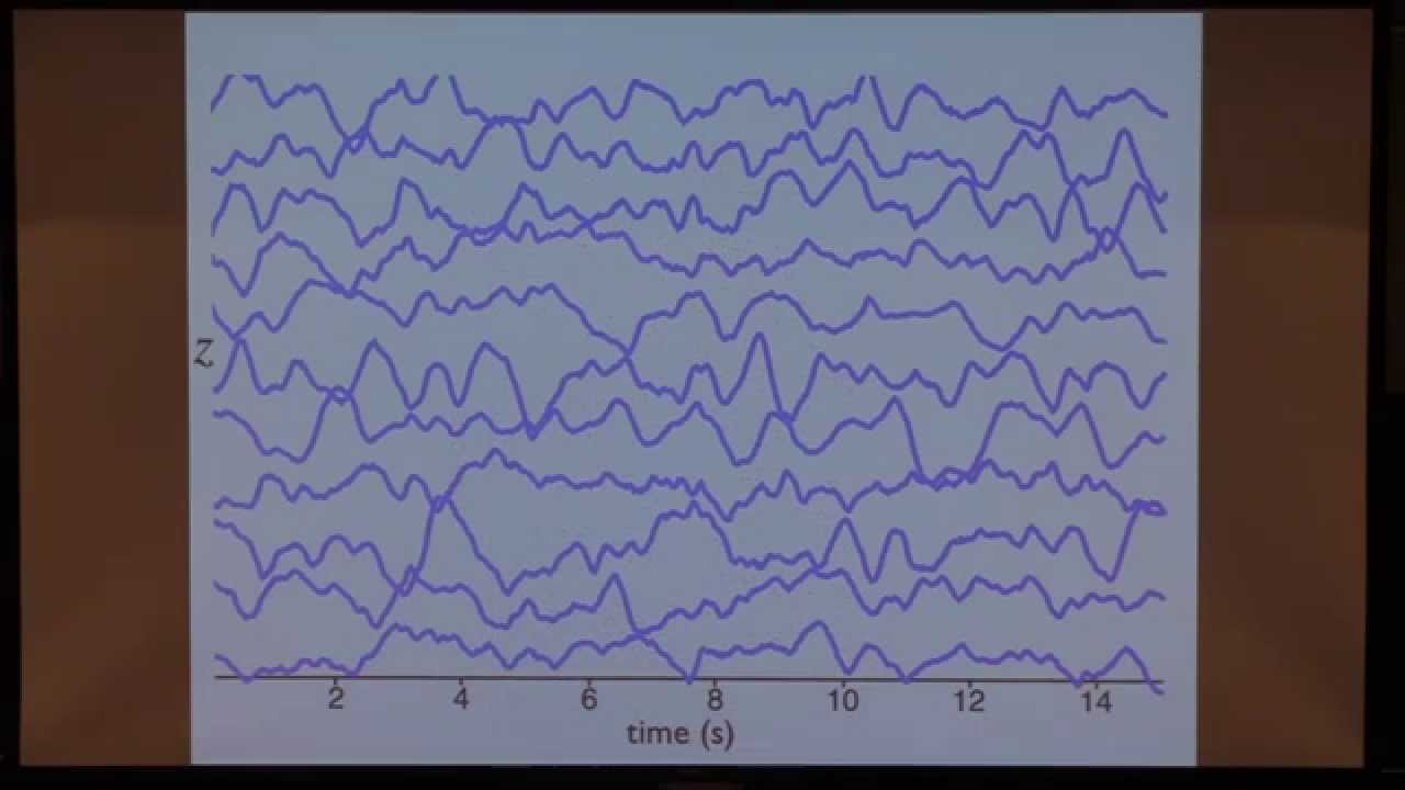 Colloquium, October 16th, 2014 -- The Dynamics of Firing-Rate and Spiking Neural Networks