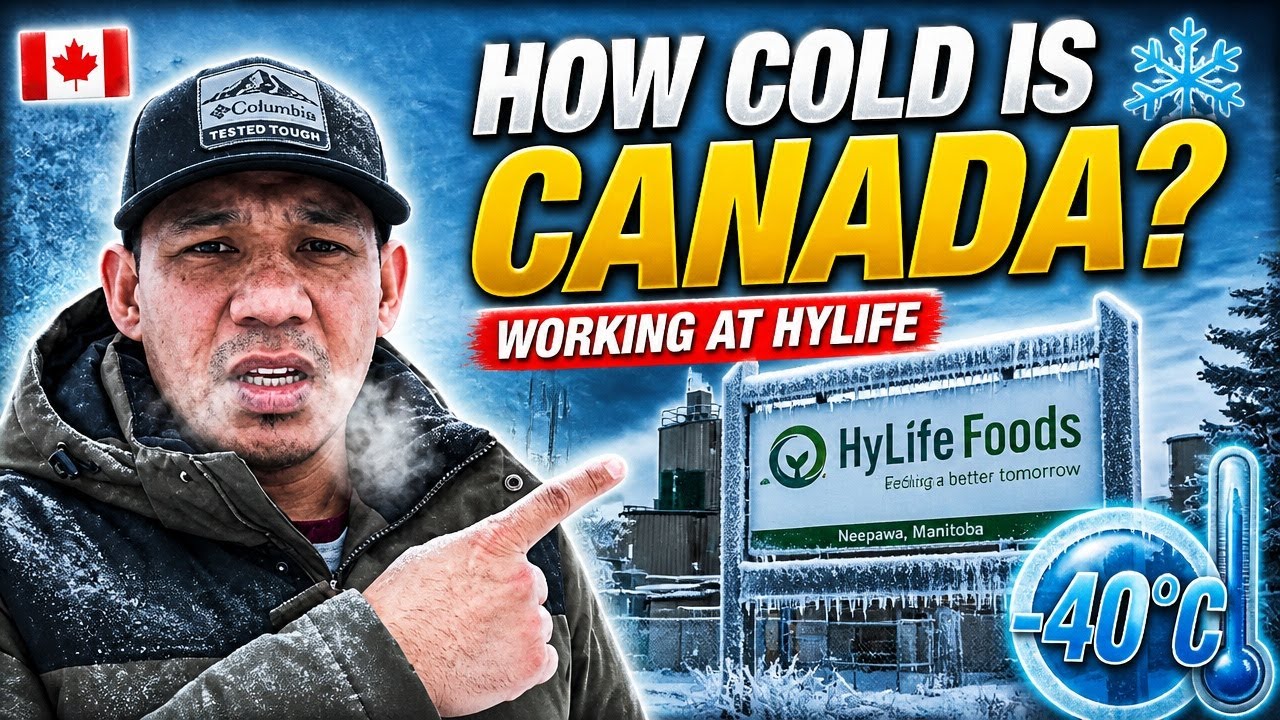 Cold Is Neepawa Manitoba? ❄️ Life, Work at HyLife | Decals installation | Hoar froast #buhaycanada 