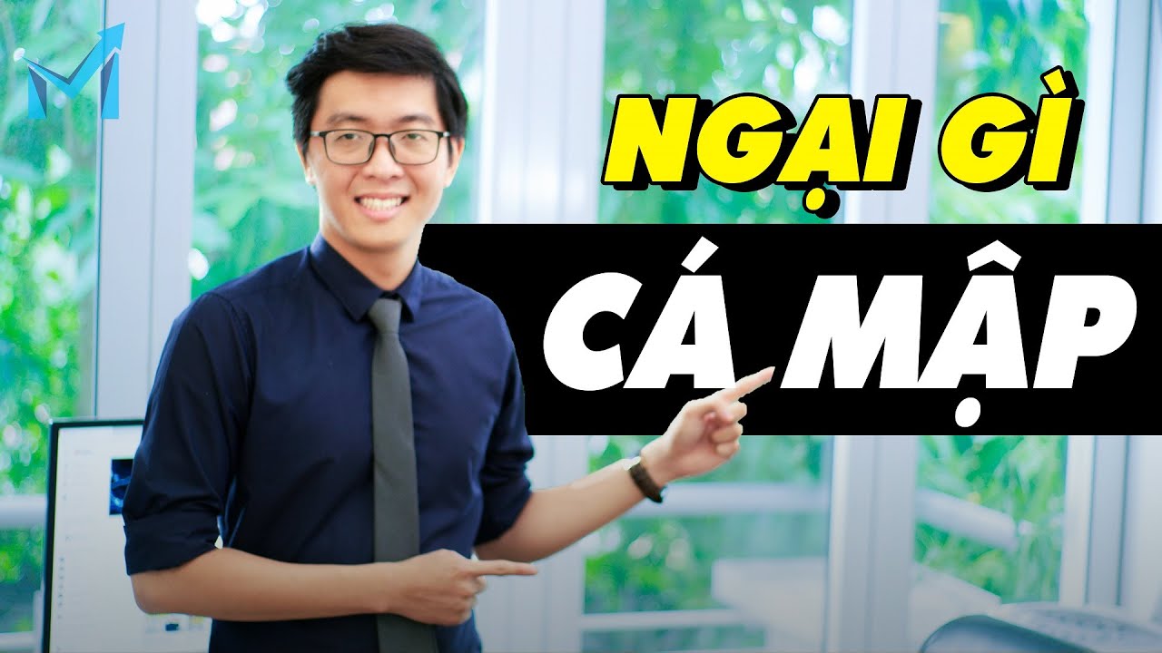 Bí Mật Forex #42 | “TỐI ƯU HOÁ” Entry Khi Theo Dấu Cá Mập Với Chaikin Money Flow - mForex