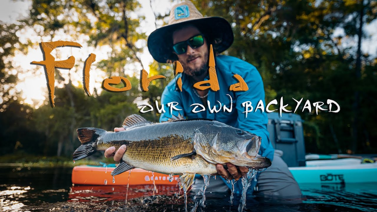 Florida - Our Own Backyard