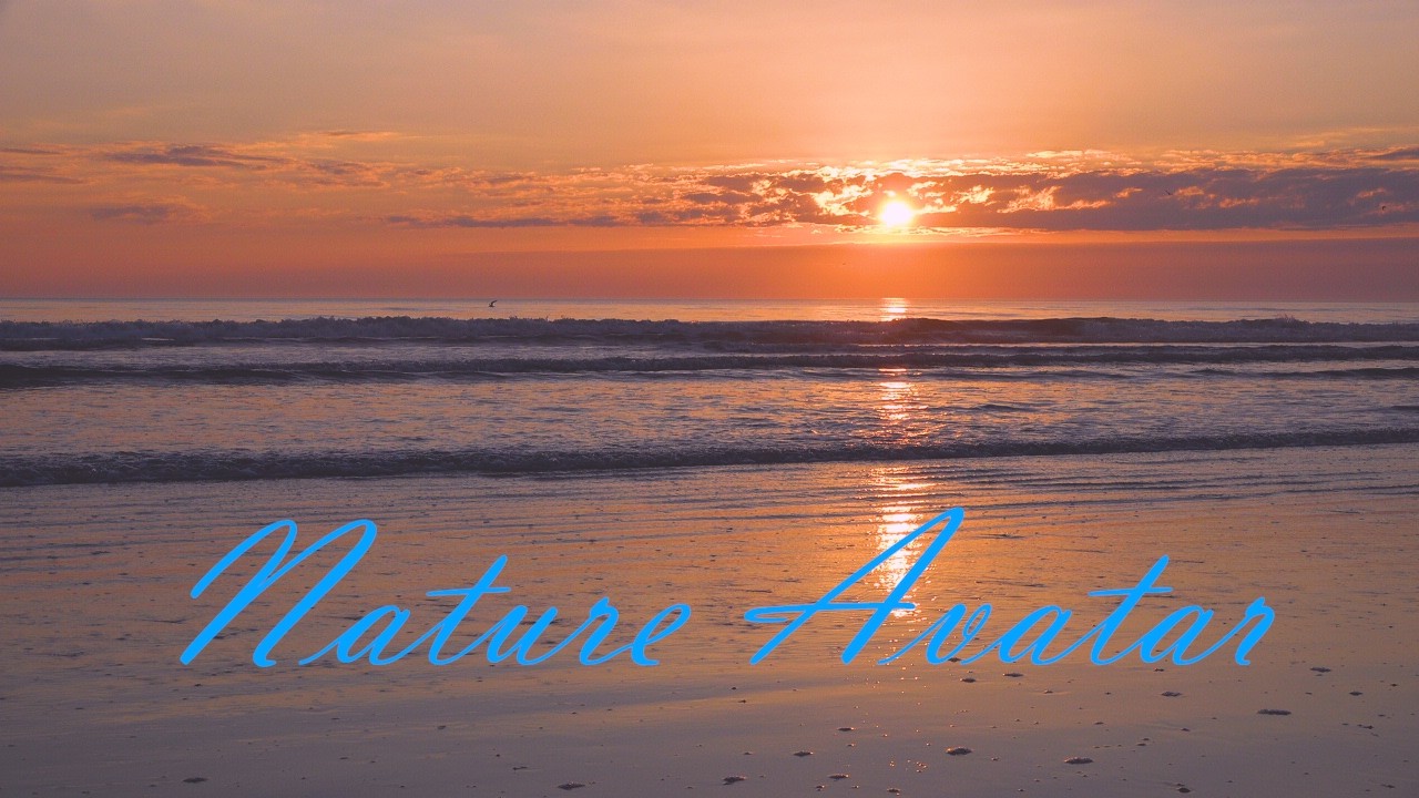 Calm and inspiring sunrise video  -- 4K