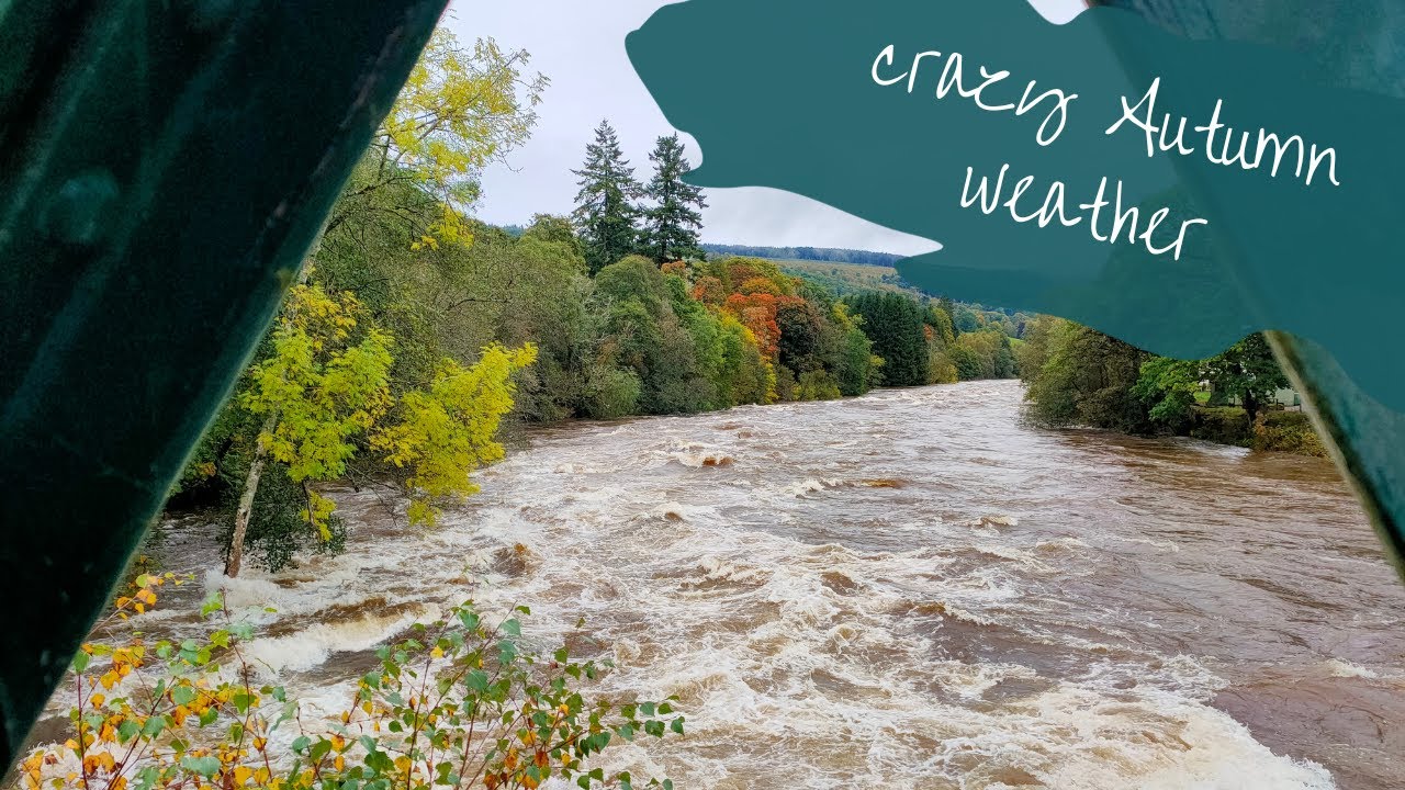 Floods, river adventures and power issues! | Solo Female Van Life