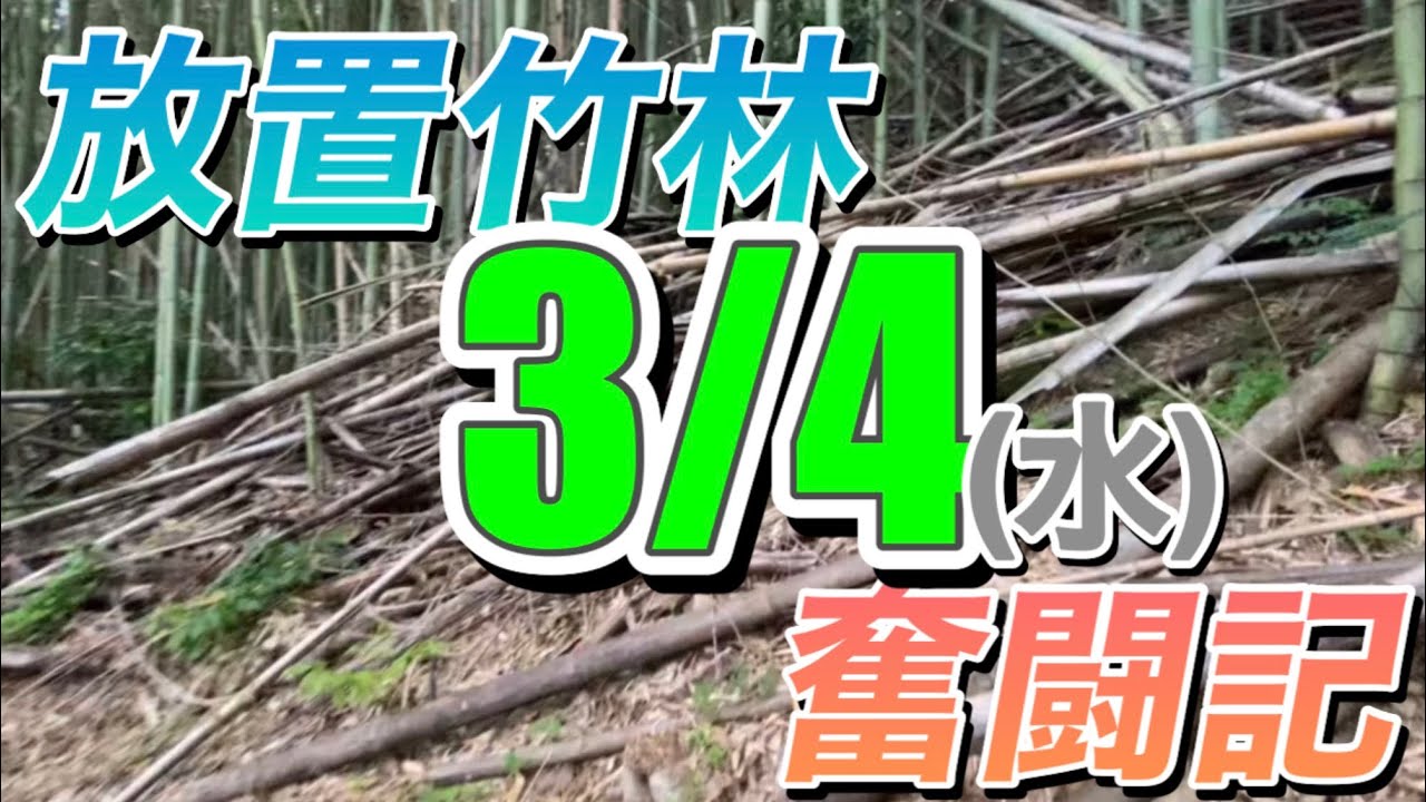 放置竹林奮闘記【早期退職者が竹を焼く日々】2026/03/04