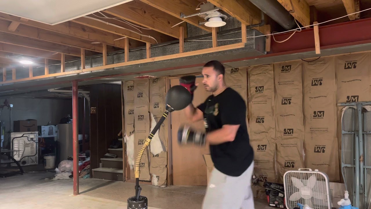Amazon reflex punching bag