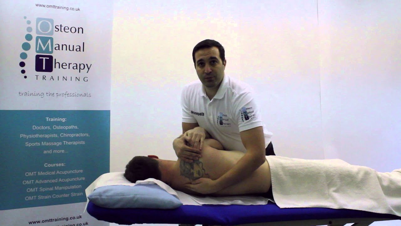 OMT Training | Thoracic Dog Course