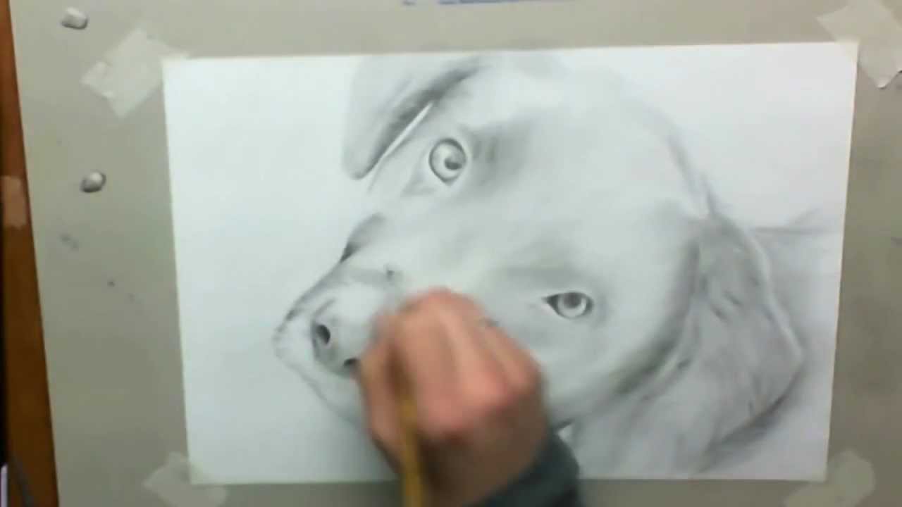 Dry Brush Painting: Animal