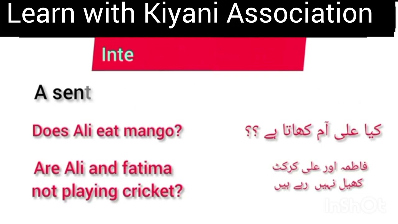 Sentence || Kinds Of Sentence || English Grammar For Beginners || English Conversation practice 