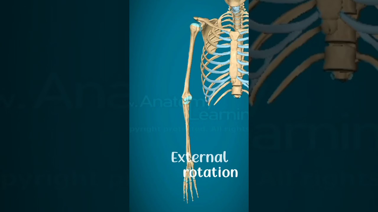 Internal and external rotation of shoulder joint#physiorehab#drsamia