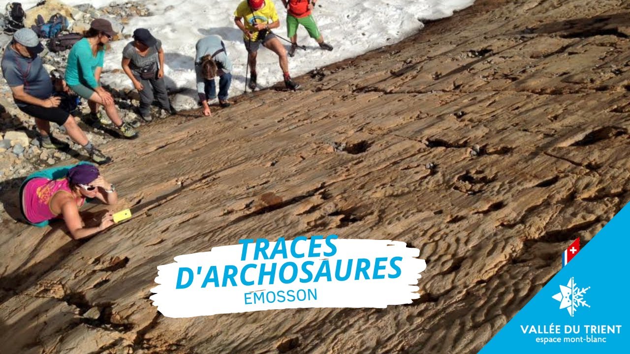 Sur les traces des Archosaures à Emosson dans la Vallée du Trient