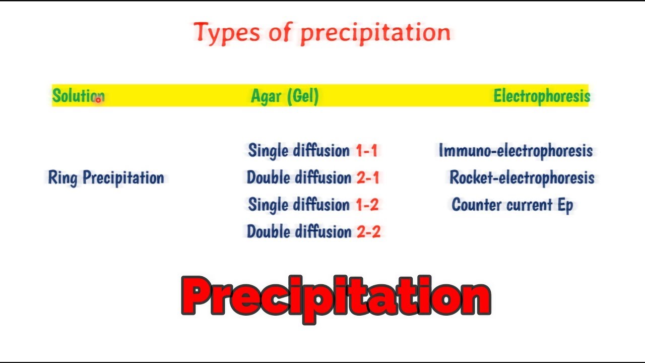 precipitation reaction in hindi || antigen antibody precipitation reaction
