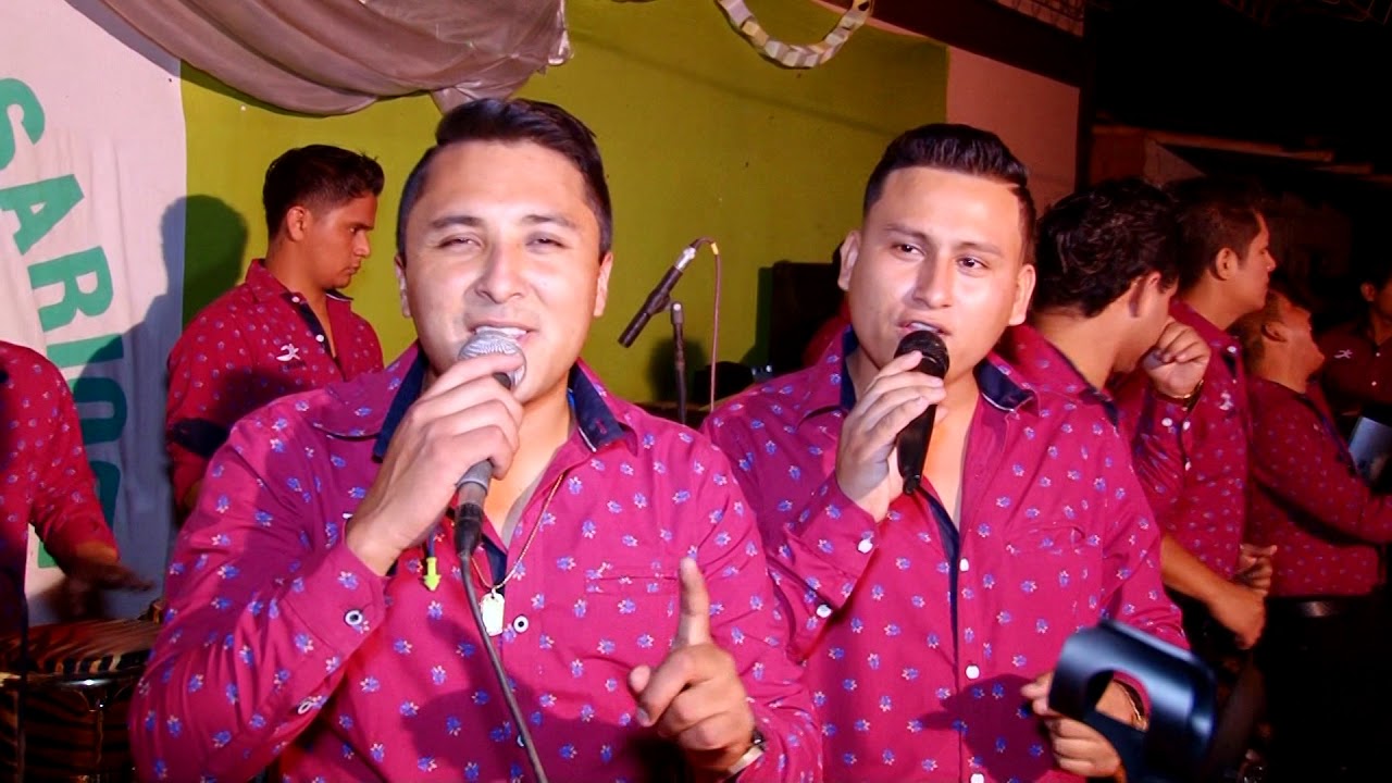 Lorito de pluma Verde - Zafiro Sensual en Concierto (Fermín Producciones)