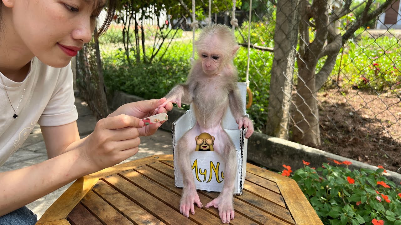 Mom always does these special things for Mynu every day
