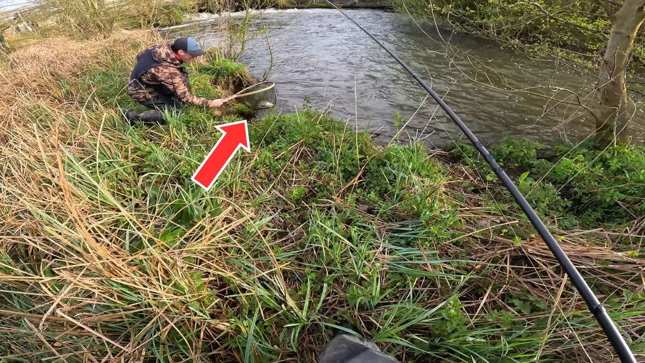 Les gros débits de cette rivière font sortir les GROSSES TRUITES !! Pêche de la truite au toc