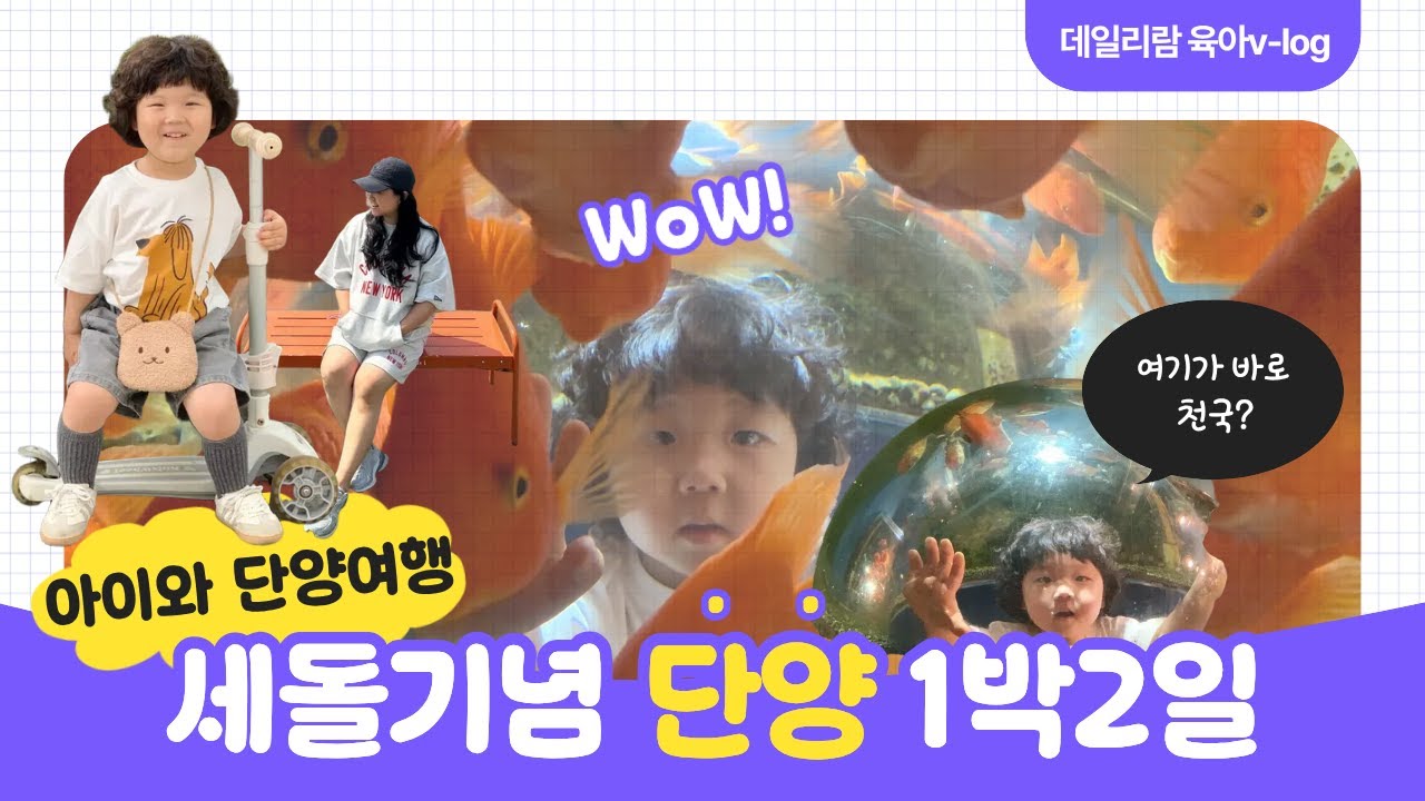 [육아v-log] 세돌기념 단양 1박2일 여행, 소노문단양, 다누리아쿠아리움, 카페산, 도담삼봉