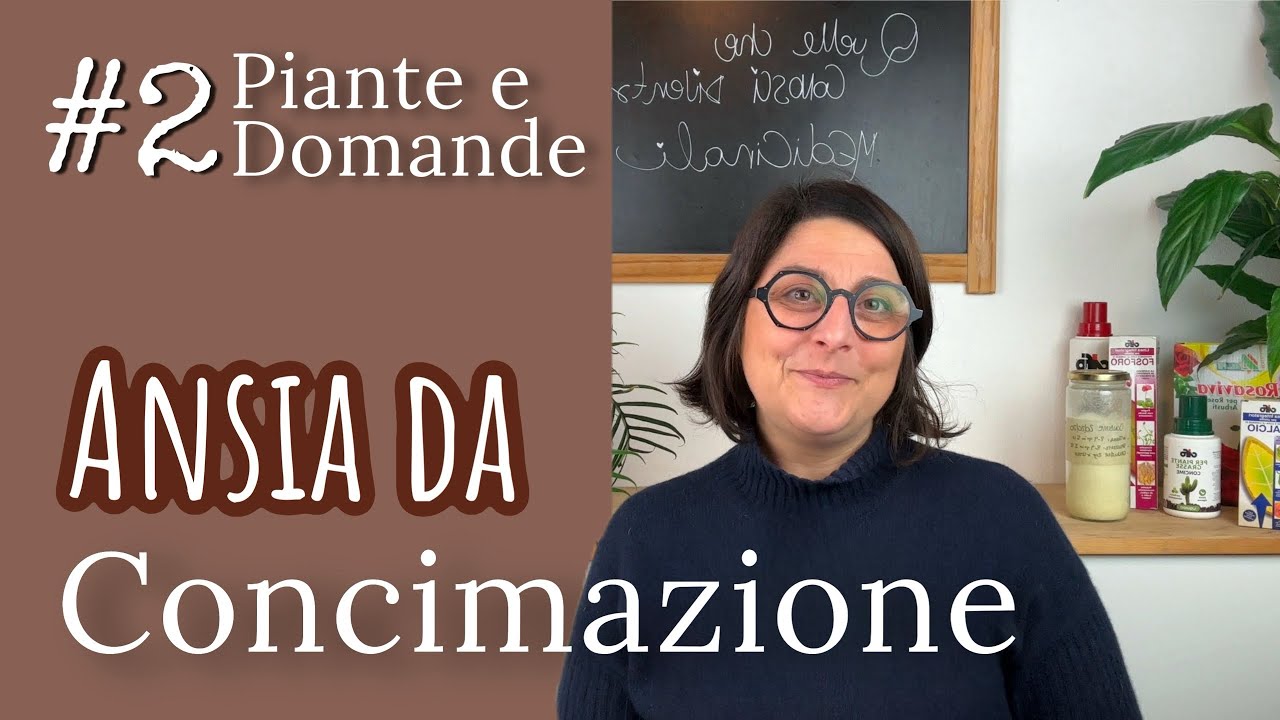 Come concimare una pianta: 4 trucchetti facili | piante e domande #2