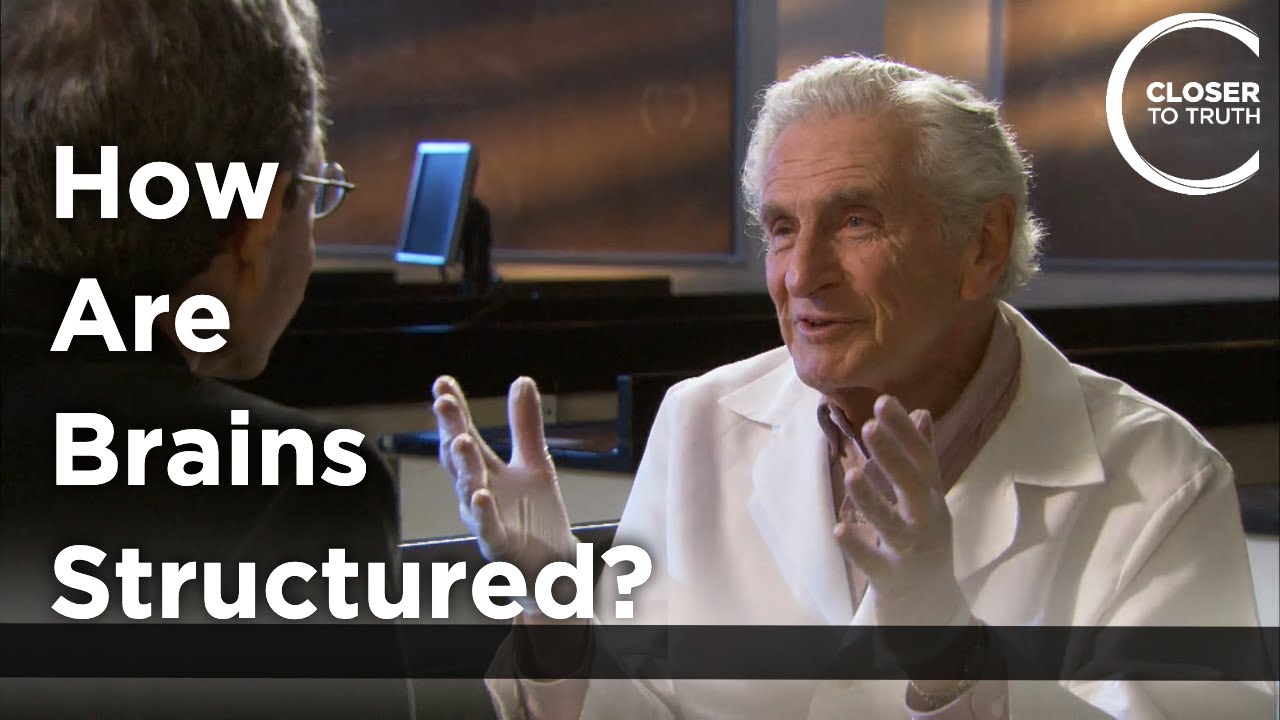 Arnold Scheibel - How Are Brains Structured?