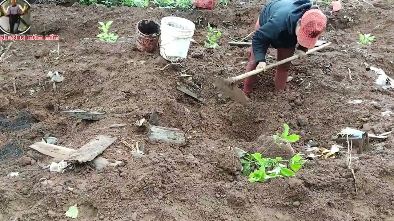 Muốn có một cuộc sống tốt đẹp thì phải cố gắng thôi cả nhà ơi 