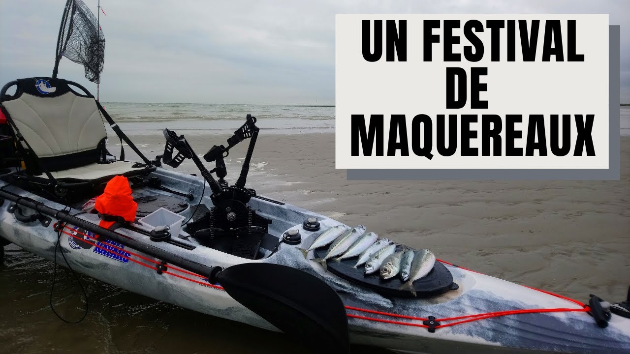 UN FESTIVAL de maquereaux
