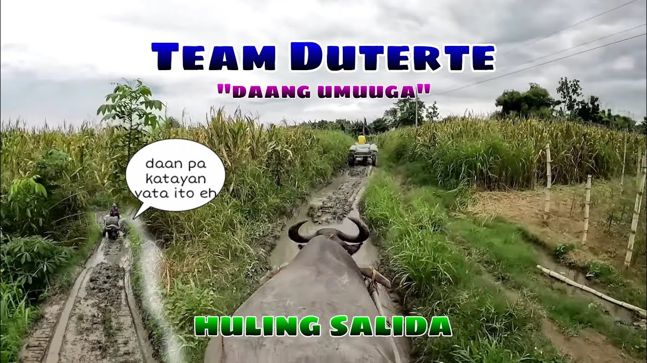 EP. 230, BUHAY BUKID karyada sa cariedo, huling salida bago mapunta sa katayan.
