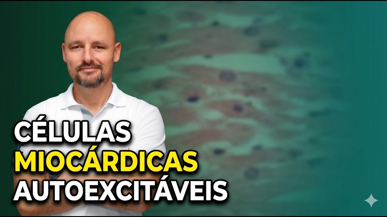 CÉLULAS MIOCÁRDICAS AUTOEXCITÁVEIS: DESPOLARIZAÇÃO e REPOLARIZAÇÃO.