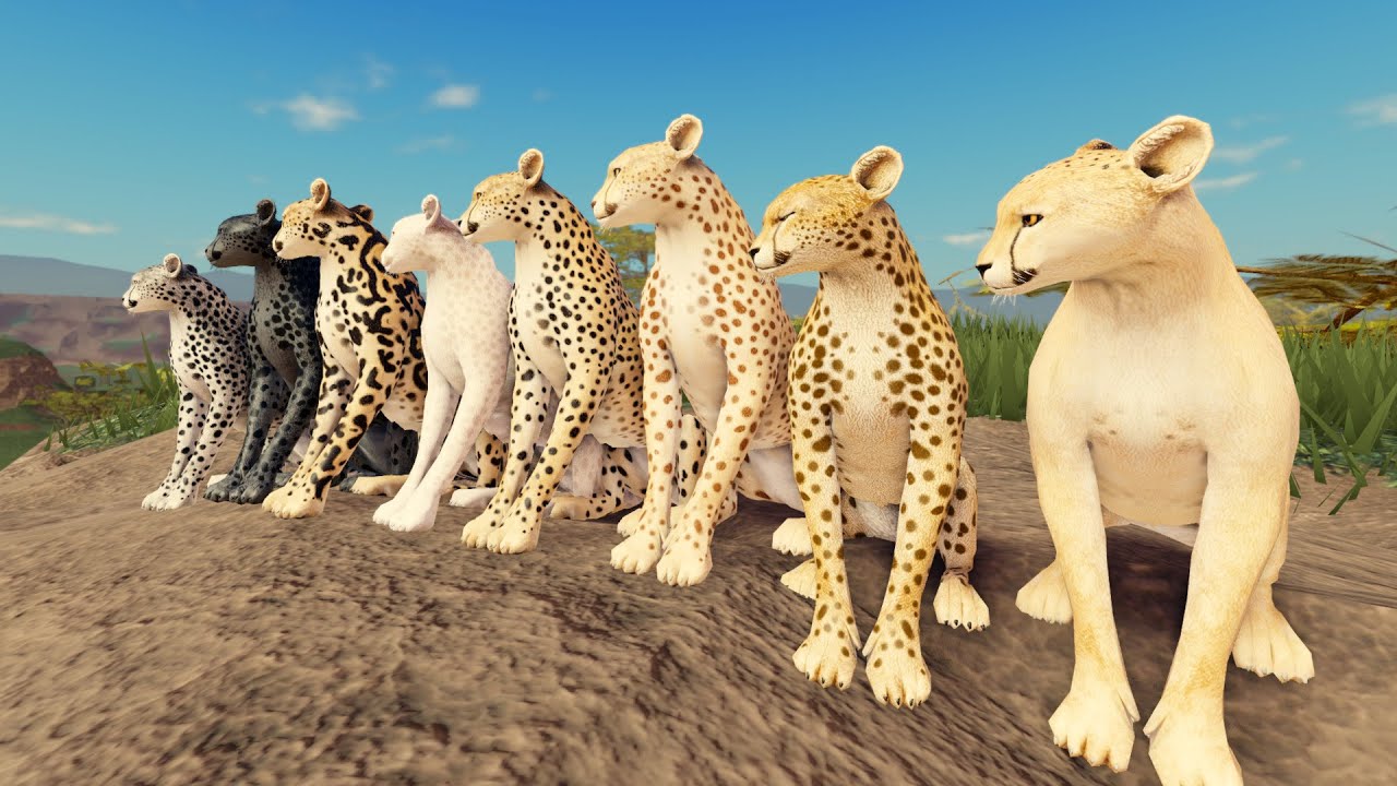 The Cheetah Has Arrived in Savannah Life! 🐆