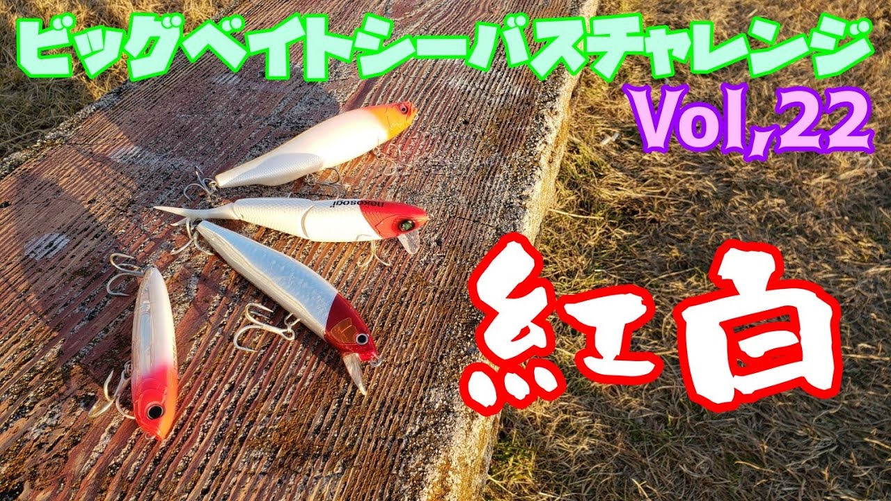 【ビッグベイトシーバスチャレンジ Vol,22】ペンシルベイト初心者の方にオススメ！動かしやすいペンシルベイトを一つ紹介します