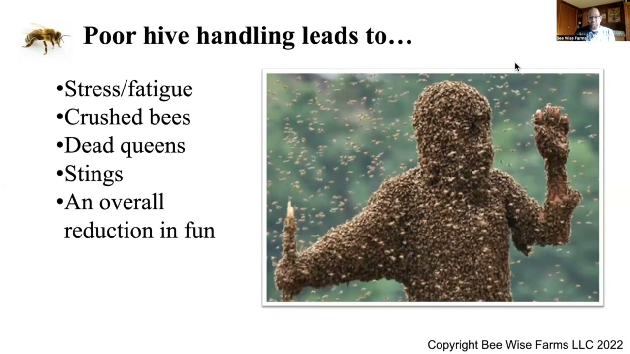 Lecture 16: Hive Handling and Inspections