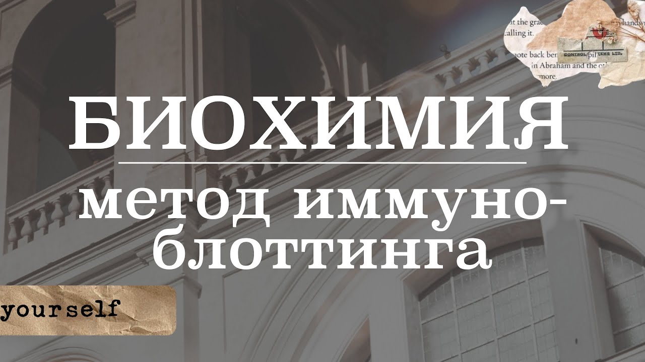Метод иммуноблоттинга (ИБ) | Микробиология/Биохимия