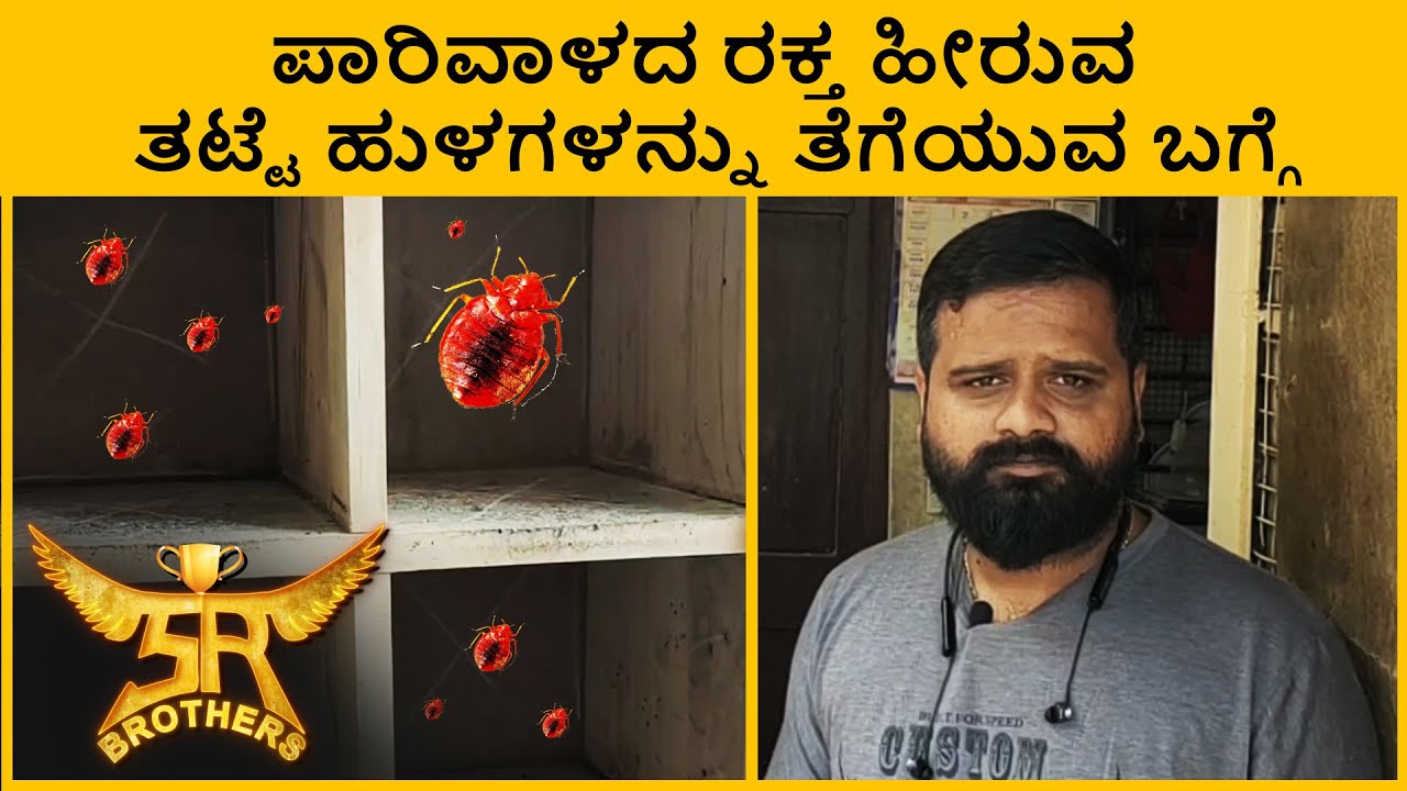 ಪಾರಿವಾಳದ ರಕ್ತ ಹೀರುವ ತಟ್ಟೆ ಹುಳಗಳನ್ನು ತೆಗೆಯುವ ಬಗ್ಗೆ