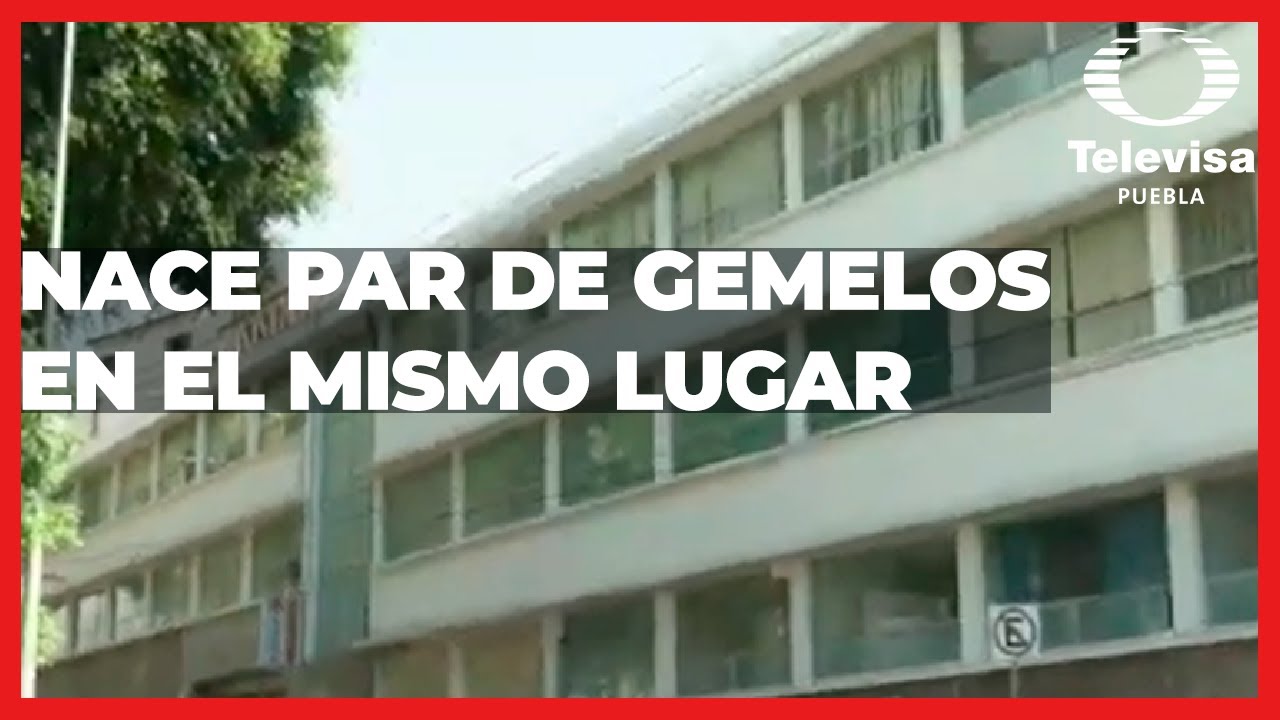 Nacen par de gemelos | Las Noticias Puebla
