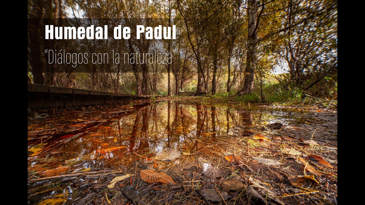 HUMEDAL DE PADUL 