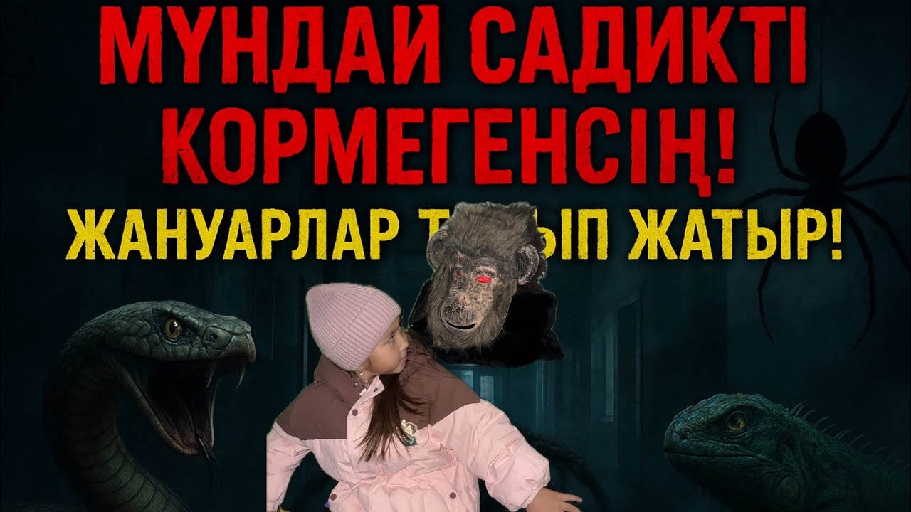 «😱МҰНДАЙ САДИКТІ КӨРМЕГЕНСІҢ! 🕷️ ЖАНУАРЛАР ТОЛЫП ЖАТЫР!🥸🥸😨😱
