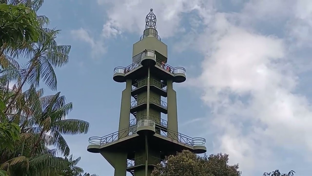 passeio no mangal das garças  em Belém do Pará